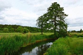 Wieś Bogate