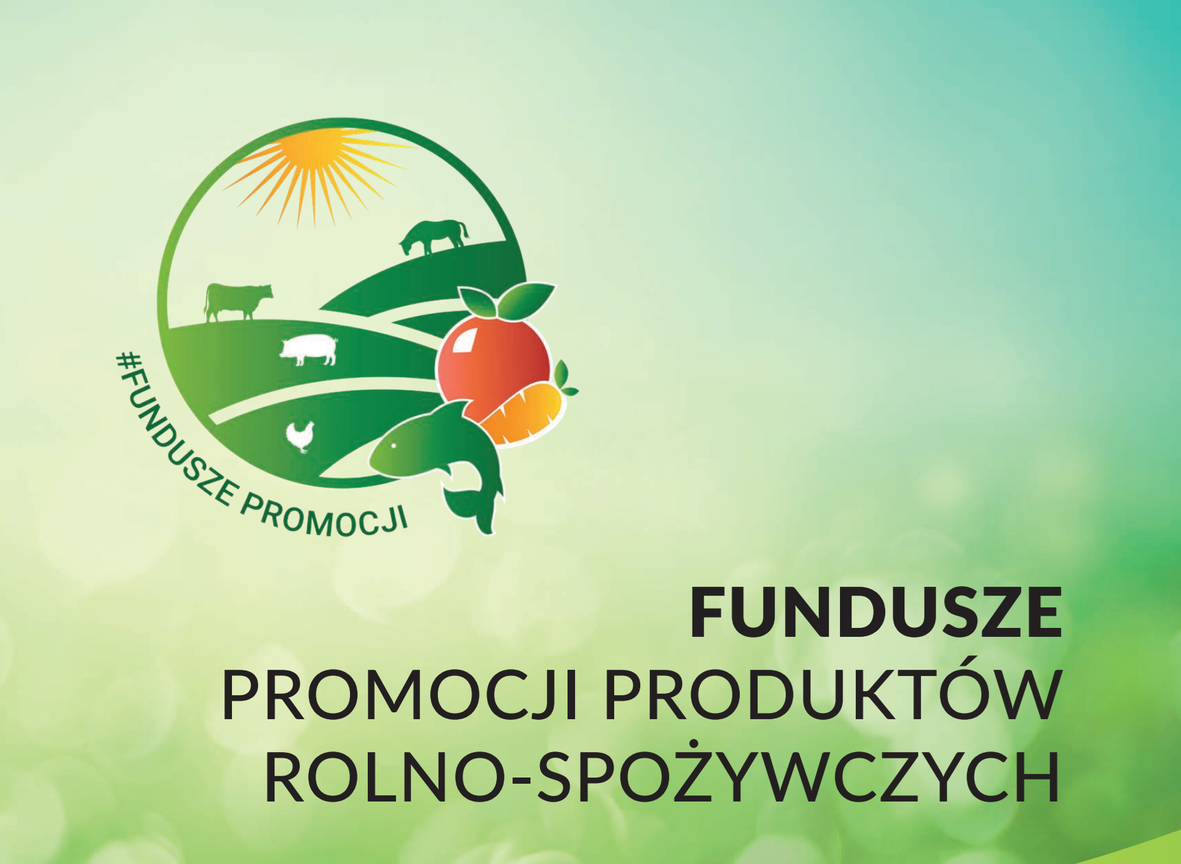 Obowiązkowe e-deklaracje na fundusze promocji od 1 kwietnia 2026