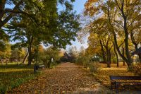 Park jesienią